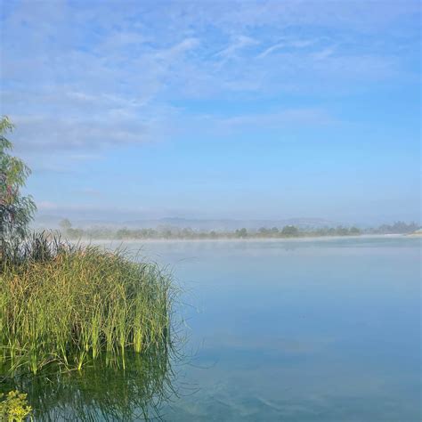 Prado Regional Park Camping | The Dyrt