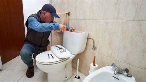 Common Toilet Problems 的图像结果