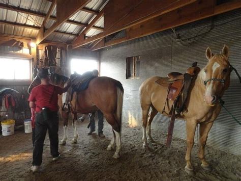 SAND CREEK CLYDESDALES RANCH (Jordan) - Ranch Reviews & Photos ...