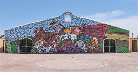 Estiman hasta 400 MDP por derrama económica en AgroBaja | Noticias de ...