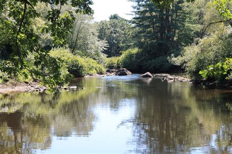 Bay Circuits: Bay Circuit Trail Medfield MA The Shattuck Reservation.