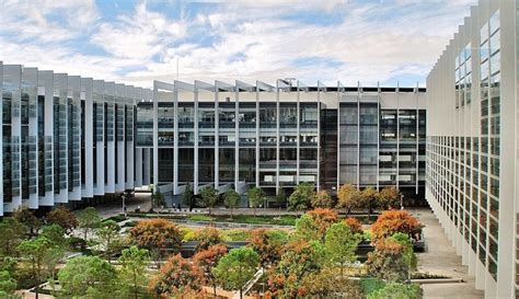 Calendario del dividendo de Repsol: 0,50 € brutos por acción en enero ...