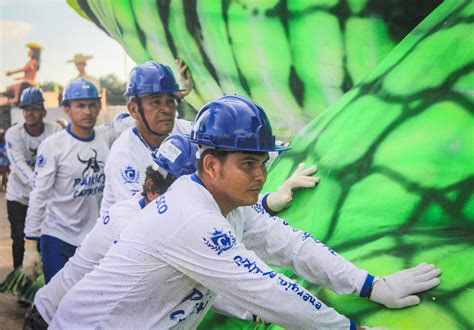 Boi Caprichoso chega com alegorias na concentração no Bumbódromo ...