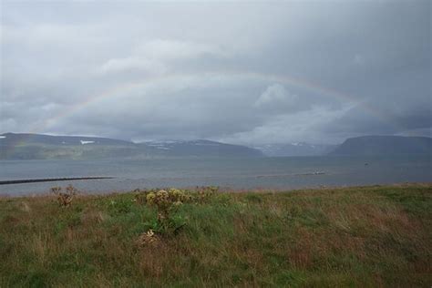Borea Adventures (Isafjordur) - 2022 What to Know Before You Go (with ...