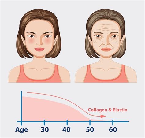 Aging Animation 的图像结果