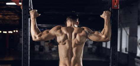 Trap Workout To Help You Get A Bigger And Stronger Back | FITPASS