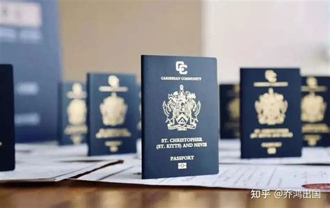 申请办理护照移民项目需要考虑什么？ - 知乎