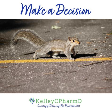 Quick Decision-Making 的图像结果