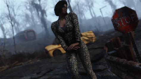 Image result for Fallout 4 Clothes Mod
