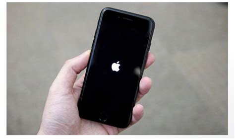 How to Get iPhone 12 Out of Boot Loop 的图像结果