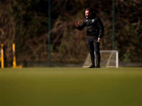 Express and Star Wolves 的图像结果