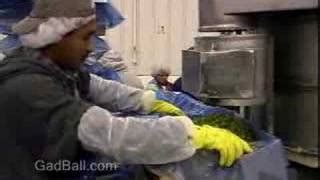 Image result for Packaging Operator vs Mixer Operator