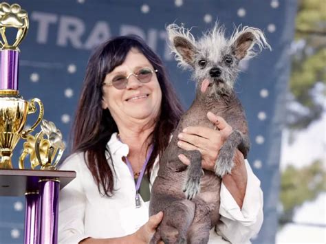 This Dog Has Won The Title Of 'World's Ugliest Dog 2023', Meet Scooter ...
