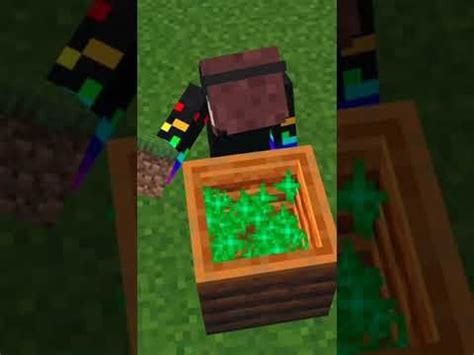 Image result for Life Hacks Minecraft Java