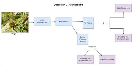 Image result for Detectron2 Using Tensorflow