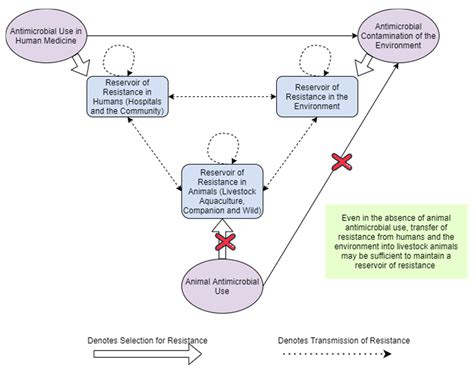 Quantifying the Relationship between Antibiotic Use in Food-Producing ...