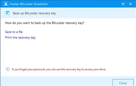 Image result for Manager BitLocker