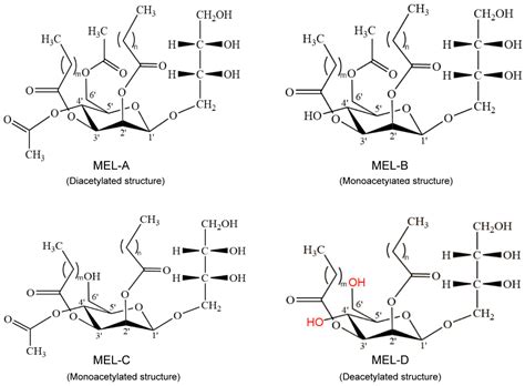 Promising Application, Efficient Production, and Genetic Basis of ...
