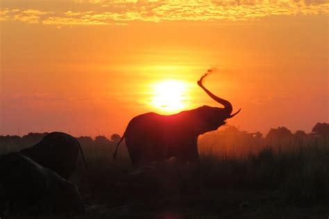 Live Life African Safari Getaways - Cape Town Central | Tripadvisor