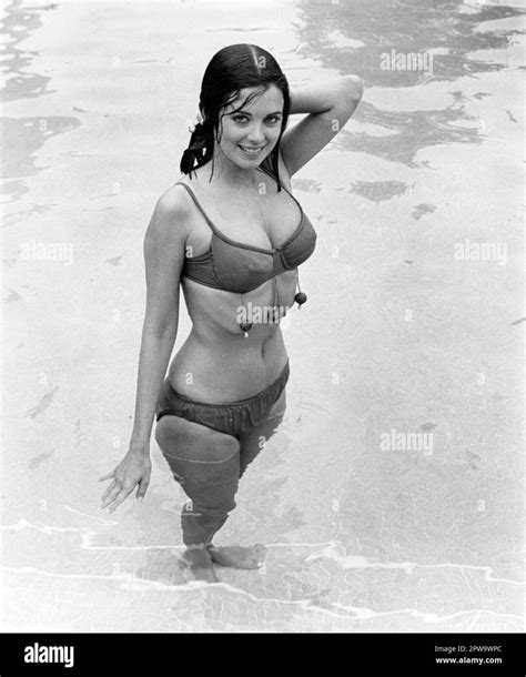 PHYLLIS DAVIS in THE BIG BOUNCE (1969), directed by ALEX MARCH. Credit ...