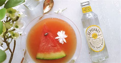 Buy Sepoy & Co. Tonic Water & Mixers | LBB