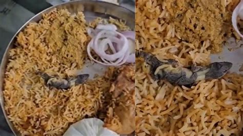 Hyderabad: After Dead Cockroach, Lizard Found In Chicken Biryani ...