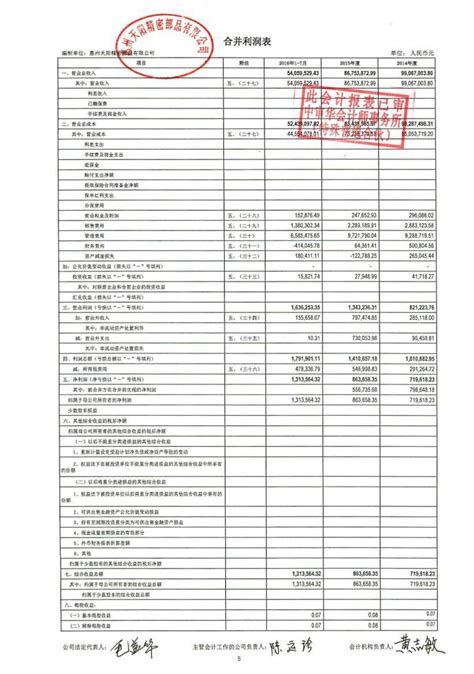 财务报表及审计报告_惠州天阳精密部品股份有限公司