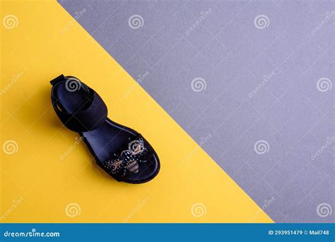 Top View of Trendy Female Black Shoes (mule) on a Contrasting Bright ...