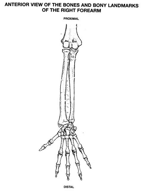 Image result for Finger Joint Tutorial