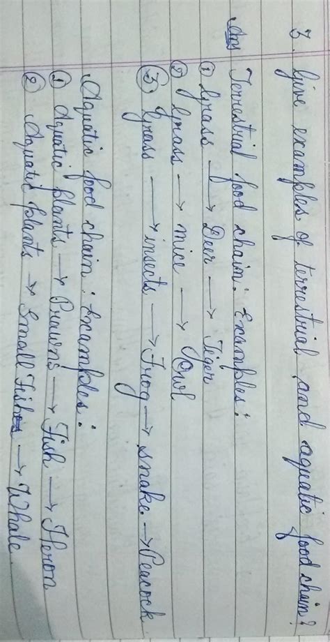 what is food chain give an example and show with a flowchart - Brainly.in