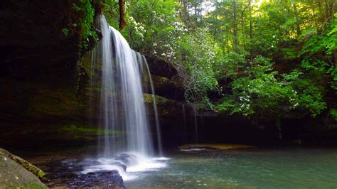 145 Fun Facts About Alabama That Will Surprise!