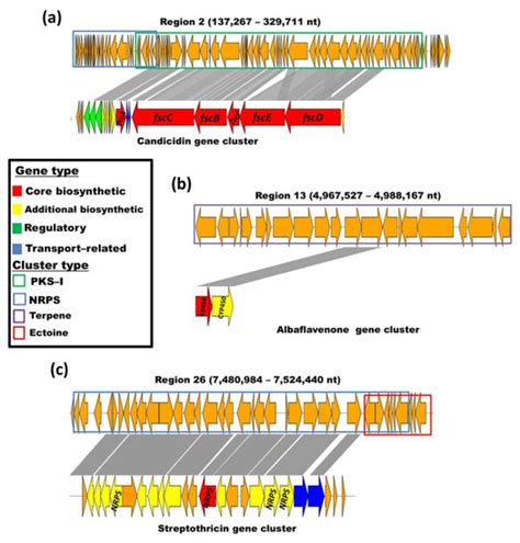 Genome-Based Analysis of the Potential Bioactivity of the Terrestrial ...