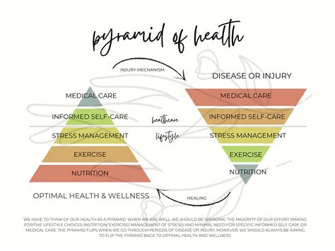 Image result for Health Pyramid Explained