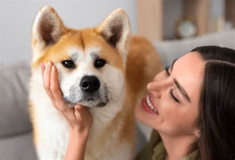 ¿Por qué a los perros no les gusta que les soplen? | EL ESPECTADOR