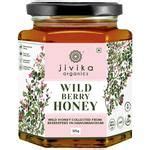 Buy Jivika Naturals Organic Wild Berry Honey - 100% Wild, Pure ...
