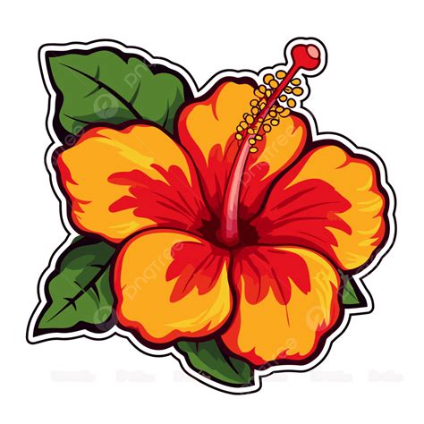 Beautiful Hibiscus Sticker On A White Background Vector, 58% OFF