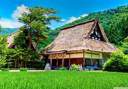 Image result for Home Wallpaper HD