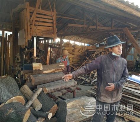 江西文港木材交易大市场筑牢木材市场安全生产防线-中国木业网