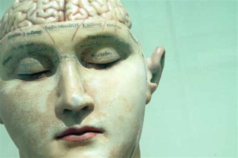 Subconscious Mind Programming 的图像结果