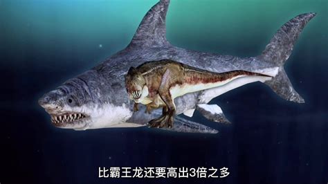 巨齿鲨VS沧龙，到底谁才是史前海洋霸主？_哔哩哔哩 (゜-゜)つロ 干杯~-bilibili