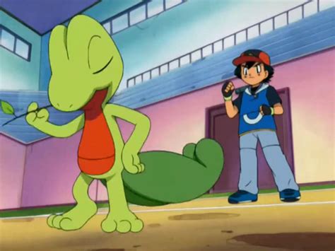 Image result for Treecko Evolution GBA Pokemon
