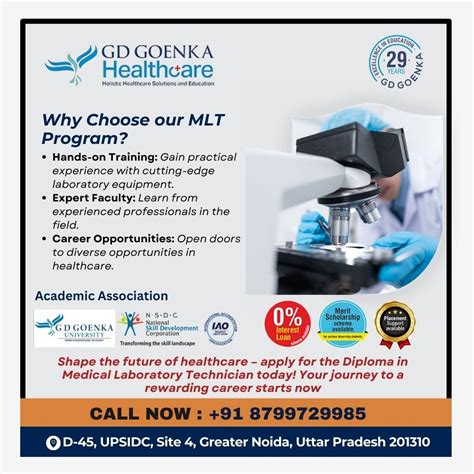 Image result for MLT Program