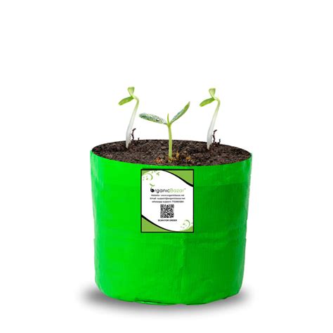 OrganicBazar 6x6 Small Size Grow Bag for Home Gardening, Premium HDPE ...