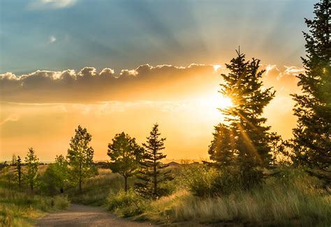 2025 Spring Program Guide: B-REx by City and County of Broomfield - Issuu