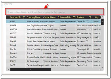 Image result for RadGridView WPF Tutorial