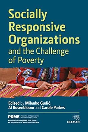 Socially Responsive Organizations and the Challenge of Poverty eBook ...