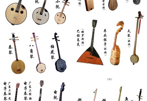 弦乐器有哪些,弦乐器,弦乐器图片_大山谷图库