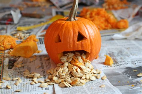 my barfing mini pumpkin. not quite my best work... | Pumpking carving ...
