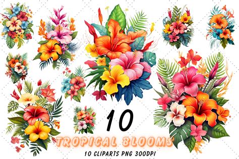 Tropical Flower Clip Art 9,500+ Tropical Flowers Clipart Stock