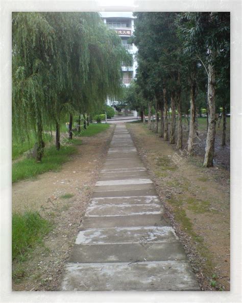 妮妮 浙江工业大学校花 - 堆糖，美图壁纸兴趣社区
